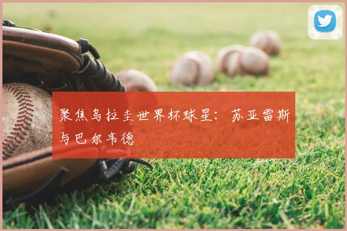 聚焦乌拉圭世界杯球星：苏亚雷斯与巴尔韦德